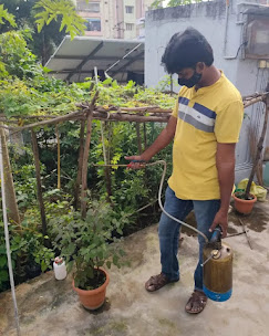 Pest control work 4