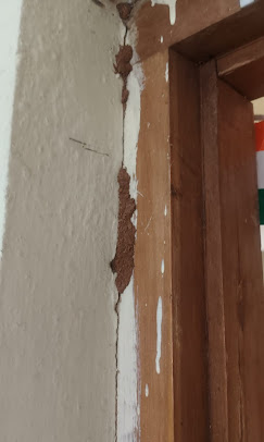 Pest control work 3